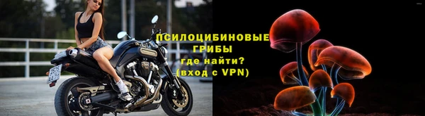 амф Богородск