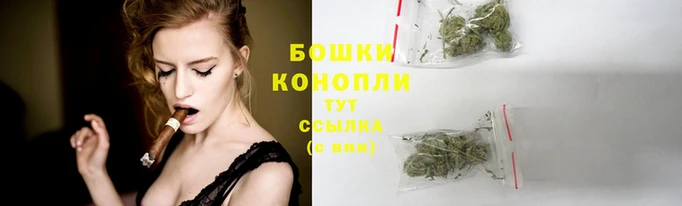прущие грибы Богданович