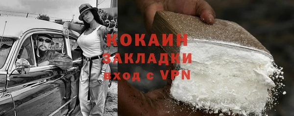 прущие грибы Богданович