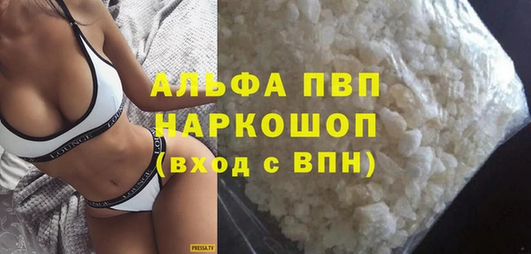 прущие грибы Богданович