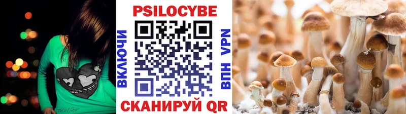 Псилоцибиновые грибы Psilocybe  где продают наркотики  Горячий Ключ 